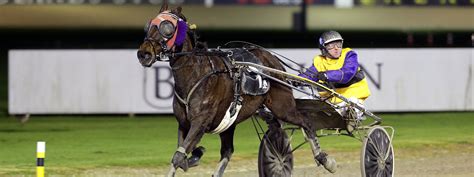 hrnz results|australian harness racing results.